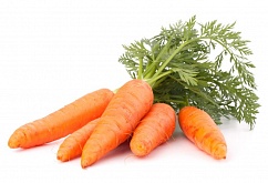Семена моркови